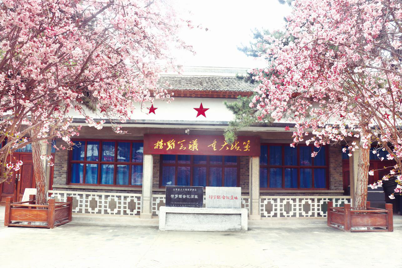 图片14.png